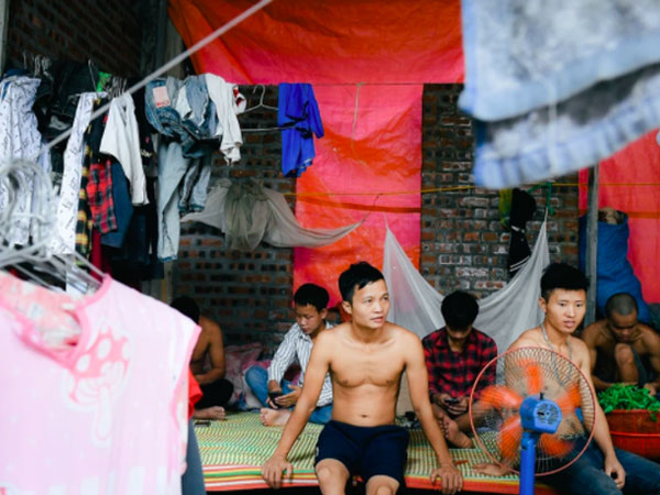 Thực hư chuyện lao động nghèo giữa Thủ đô hái rau dại để ăn, 8 người phải chia nhau 4 suất cơm mỗi ngày