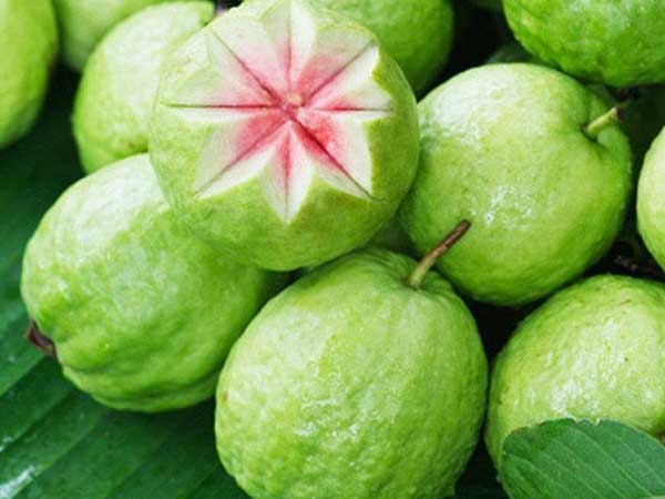 Quả ổi: Cực tốt và cực độc, biết mà tránh khi ăn kẻo 'rước họa vào thân'