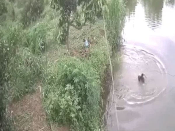 Cháu bé trượt chân ngã rồi giãy giụa chìm nghỉm dưới hồ nước, diễn biến sau đó vô cùng hồi hộp