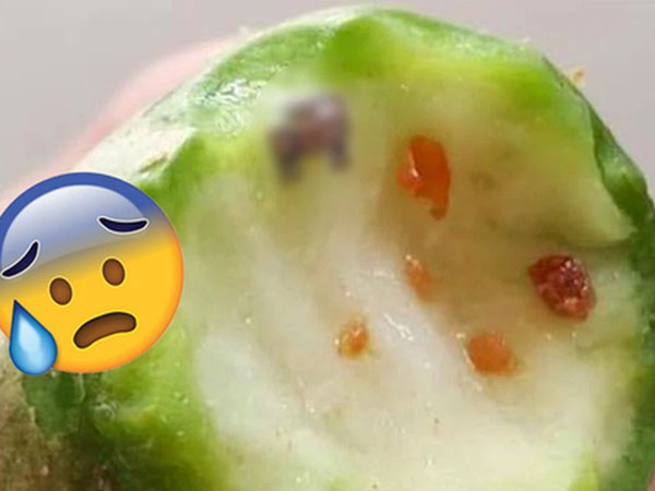 Đang niềng răng nhưng vẫn bất chấp ăn cóc, cắn một miếng, cô nàng liền hối hận không kịp