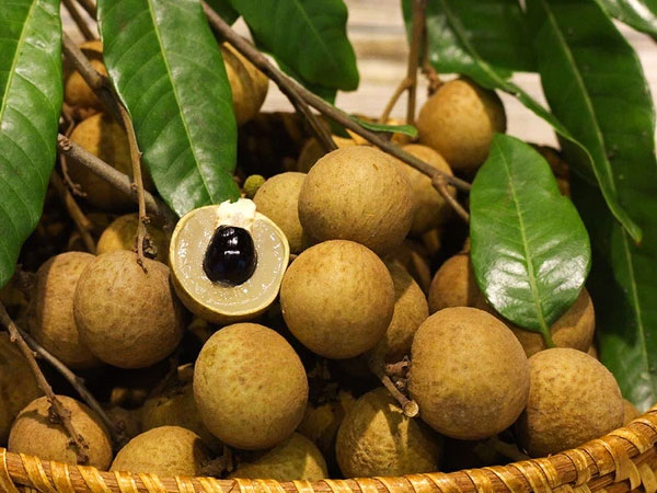Ăn nhãn chữa mất ngủ, tăng tuổi thọ, đẹp da... nhưng có những đối tượng cần hạn chế, người khỏe mạnh bình thường cũng có lưu ý riêng!