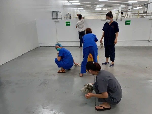 TP.HCM: Mưa lớn làm ngập trung tâm hồi sức COVID-19, bác sĩ 'xắn quần' dọn nước, bùn đất để sớm tiếp nhận bệnh nhân