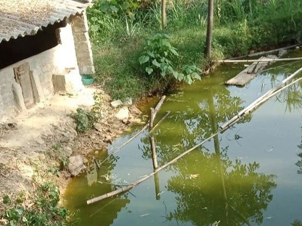 Bố mẹ ngã quỵ khi phát hiện thi thể con trai 2 tuổi nổi dưới ao cá