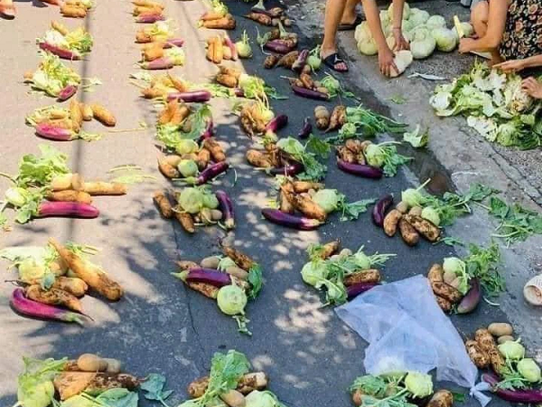 Chia rau củ đến từng nhà, người dân Đà Nẵng nhận được nhiều lời khen từ dân mạng
