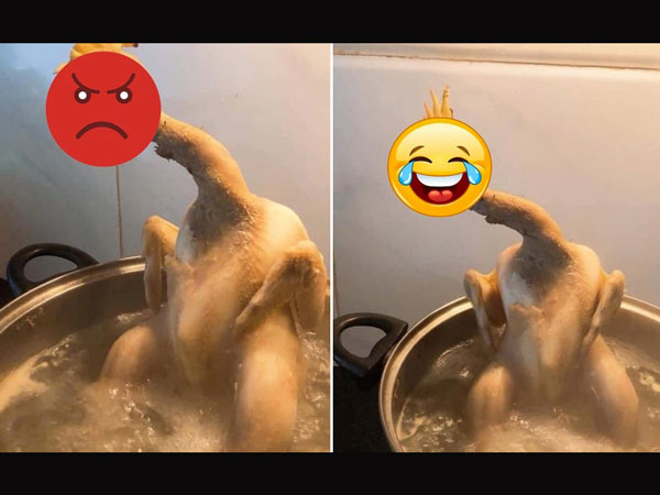 Dân mạng dở khóc dở cười với chú gà đang bị luộc thì như muốn... sống dậy, nhìn phần đầu mà hết hồn
