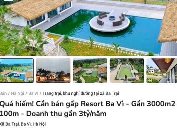 Xuất hiện tình trạng rao bán cắt lỗ trang trại, khu nghỉ dưỡng: Có resort hạ giá gần 20 tỷ