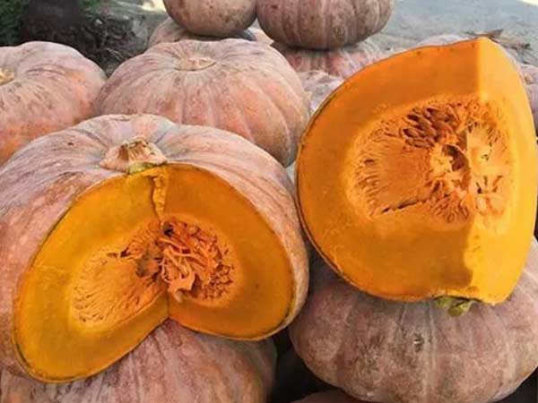 Ăn bí đỏ cần tránh 5 điều này để không gây hại sức khỏe