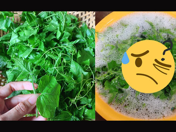 Chồng hỏi 'sao em lại rửa rau với xà phòng', cô vợ bật cười rồi tiết lộ sự thật khiến dân mạng cũng há hốc mồm kinh ngạc