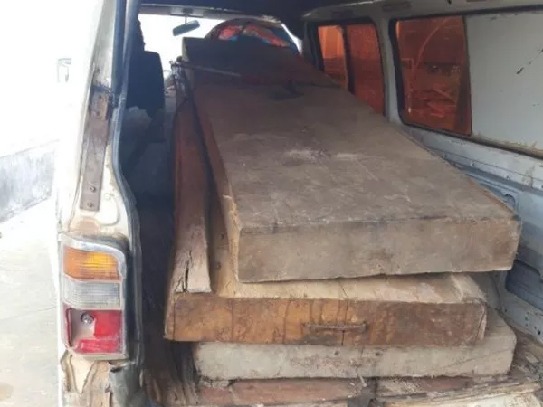 Vụ 'Chủ tịch xã bắt gỗ lậu về biếu cán bộ': 80 lóng gỗ về vườn Phó chủ tịch huyện