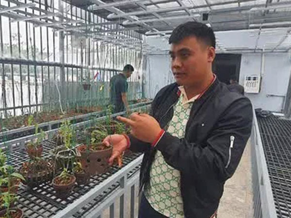 'Đại gia' lan đột biến khét tiếng bị bắt