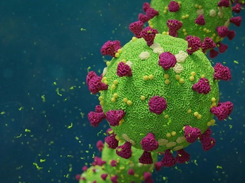 Tình báo Mỹ ra kết luận về nguồn gốc virus SARS-CoV-2