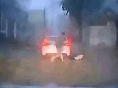 Video: Người đàn ông phản xạ cực nhanh, cứu sống tài xế bị điện giật