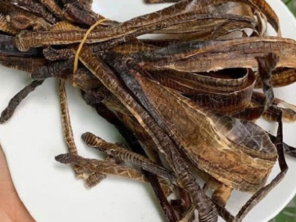 Bộ Y tế khuyến cáo: Giun đất không có tác dụng điều trị Covid-19, người dân không tự ý sử dụng theo lời quảng cáo trên MXH