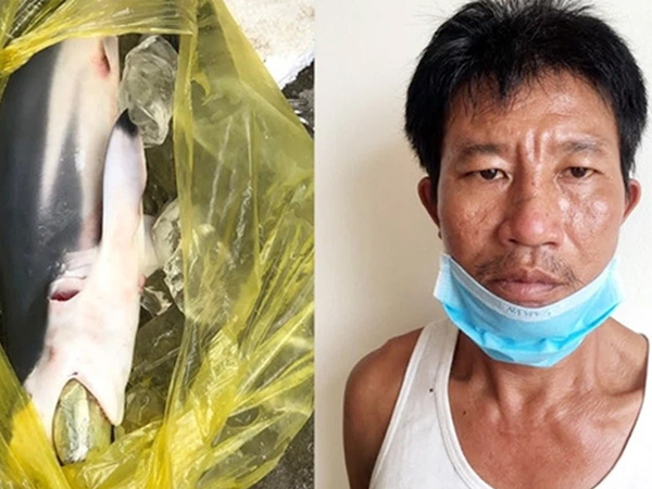 Con nghiện nhồi ma túy vào bụng cá