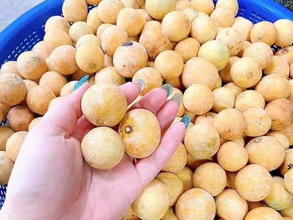 Đặc sản Hà Nội ngày cuối mùa, khách tranh mua ăn dè đến sang năm