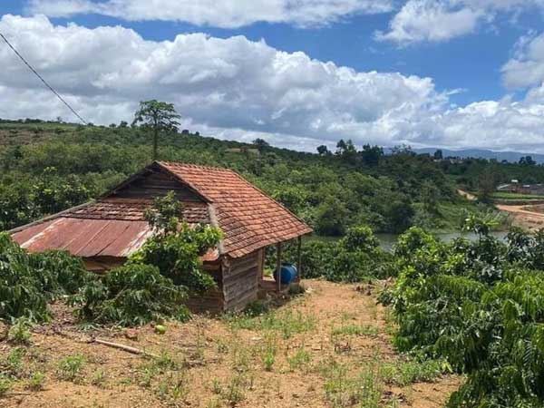 Sóng cắt lỗ farmstay vì dịch bắt đầu sôi động: Có trang trại giảm giá tới 50%