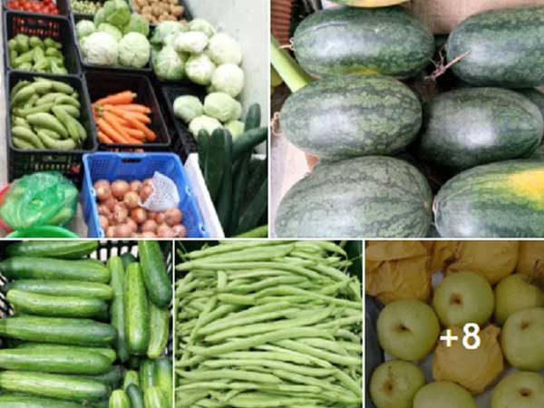 Bỏ lương 15 triệu ra làm riêng, suốt năm trời không ai tin tôi thành công