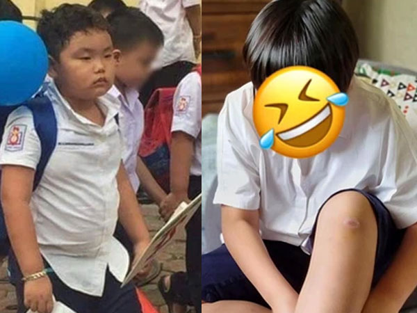 Nhân vật huyền thoại mỗi mùa khai giảng - Bi Béo nhà Xuân Bắc lại xuất hiện với gương mặt khó ở nhưng gây chú ý nhất là mái tóc tấu hề
