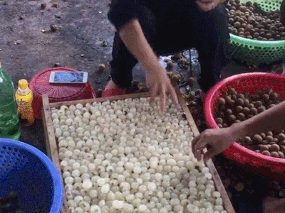Vừa làm long nhãn, đôi nam nữ vừa mang ra ném nhau khiến dân tình phát hoảng: 'Mong là không phải cốc chè tôi đã ăn'
