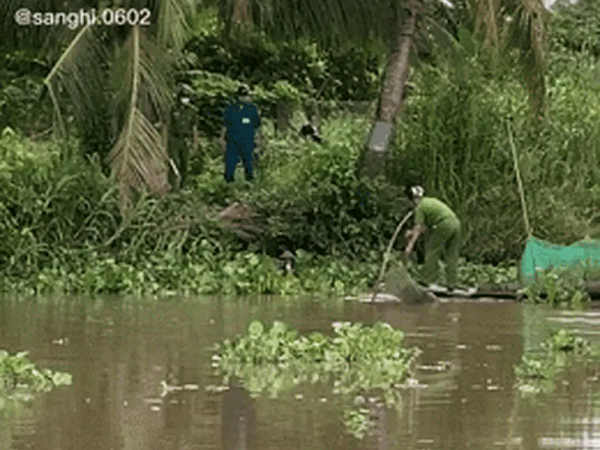 Lao xuống sông né chốt kiểm dịch, đụng trúng công an 'đuổi cùng bắt tận', chèo thuyền ra 'đón' về