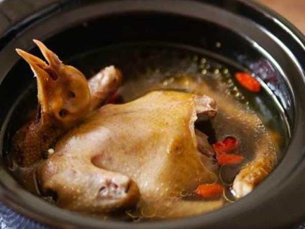 5 điều cấm kỵ khi ăn thịt chim bồ câu, ai biết rồi cần tránh ngay kẻo sinh độc hoặc làm lãng phí dinh dưỡng món ăn