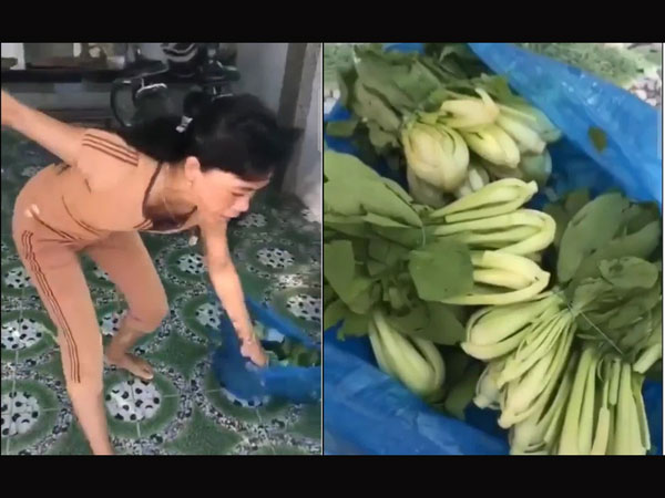 Bức xúc với đôi vợ chồng từ chối nhận rau xanh tươi, cầm cả túi ném ra cửa: 'Hỗ trợ vậy thì ăn gì? Xách về đi'