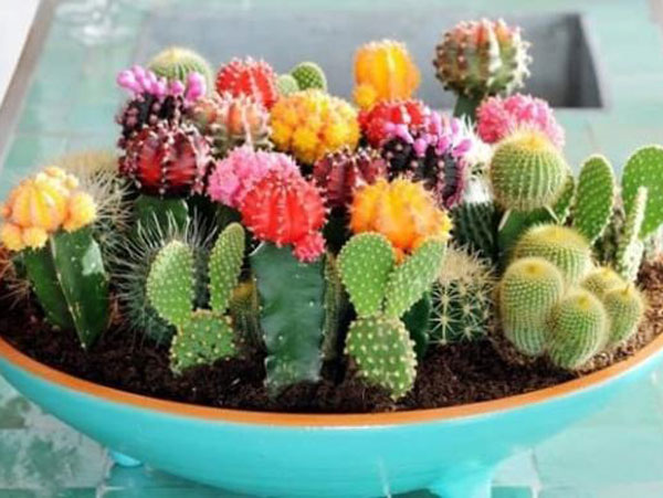 5 món đồ tuyệt đối không nên bày trên bàn làm việc kẻo sẽ bị chặn đứng con đường thăng tiến