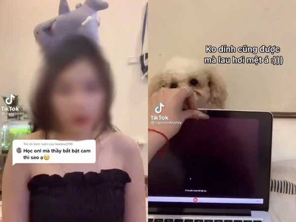 TikToker nổi tiếng dạy học sinh cách đối phó khi bị bắt bật cam học online, thầy giáo tâm lý phản ứng cực gắt