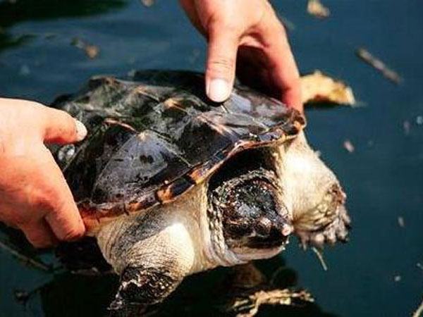 6 cách hóa giải vận xui hiệu quả, dọn đường nghênh tài lộc, ai không biết thiệt cả đời