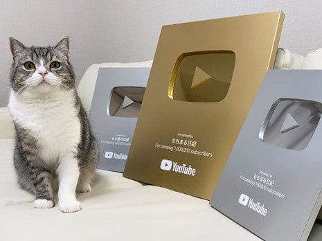 Một chú mèo vừa đạt được kỷ lục Guinness, rinh hẳn nút Bạc, nút Vàng YouTube và kiếm tiền tỷ mỗi tháng