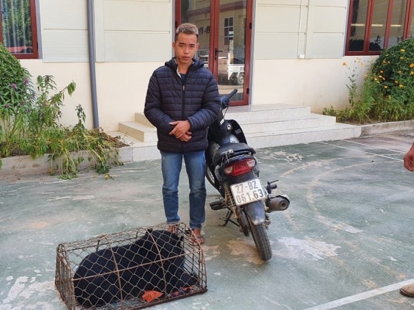Công an Điện Biên bắt giữ đối tượng vận chuyển động vật hoang dã, quý hiếm
