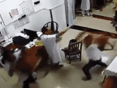 Nữ điều dưỡng khoa cấp cứu bị bệnh nhân dùng ghế đánh vào đầu