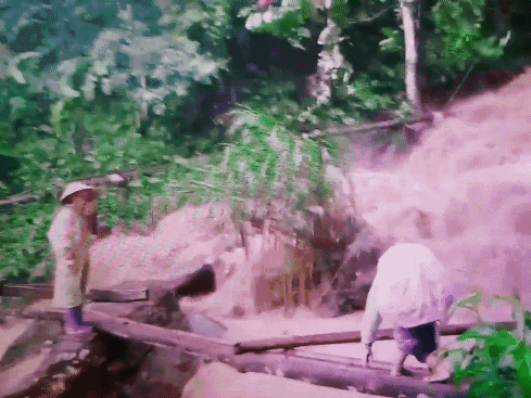 Cô giáo mầm non cõng con vượt lũ trên cây cầu tạm: 'Giờ xem lại clip thấy rợn người'
