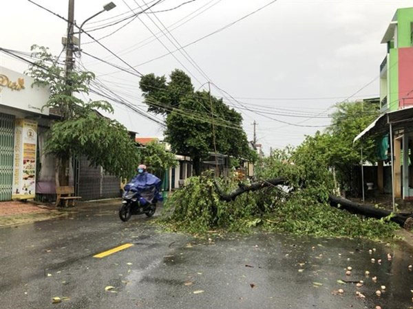 Dự báo thời tiết 15/9: Miền Bắc và miền Trung tiếp tục mưa to, nền nhiệt giảm