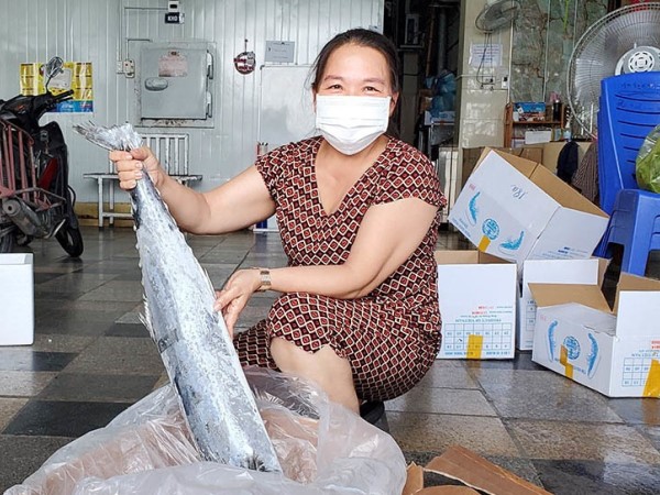 Hàng nghìn tấn tôm, cá ế đầy kho: chủ hàng lao đao lo phá sản