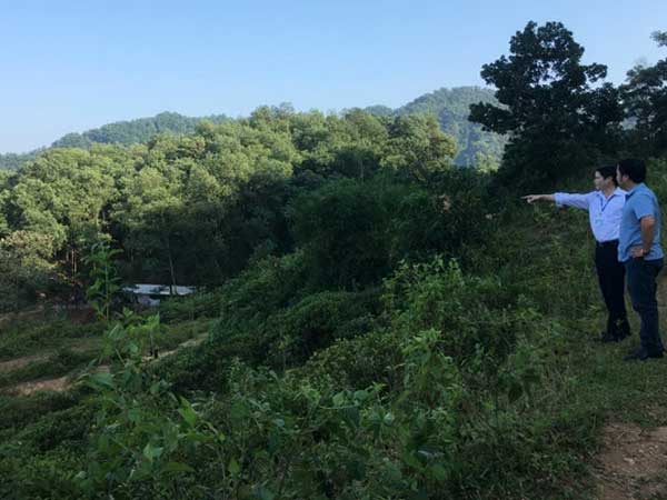 Đổ về ngoại ô Hà Nội 'săn' đất