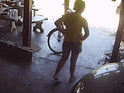 Video: Bị rắn hổ mang phun nọc tấn công, người phụ nữ hoảng sợ la hét
