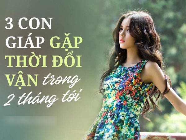 Top 3 con giáp giàu có nhất nhì tháng 9, phúc lộc gia tăng trong tháng 10, cuộc sống ấm êm, viên mãn