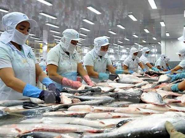 Thế mạnh tỷ USD Việt Nam lao dốc, những con số cảnh báo