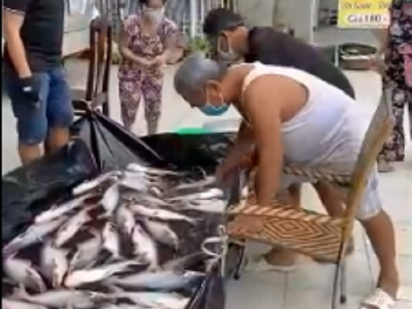 Gia đình 'chơi sộp' nhất miền Tây mùa dịch: Mang hồ cá to đùng ra để trước nhà, ai cần cứ đến lấy 1 con khiến cả xóm xúc động