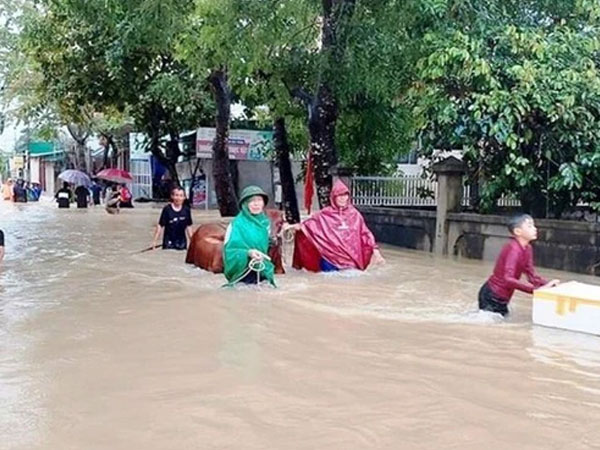 Một người mất tích, gần 700 ngôi nhà bị ngập, dân di dời khẩn cấp do mưa lớn ở Nghệ An