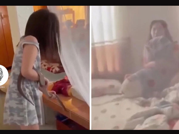 Con gái cầm rắn dọa, thái độ hoảng loạn của người mẹ khiến dân mạng 'cười ngất'