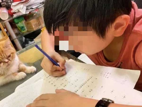 Học sinh tiểu học tả gia đình không khác gì sở thú khiến dân mạng cười điên đảo, bố khoái chí tự hào nhưng mẹ thì chỉ muốn 'độn thổ'