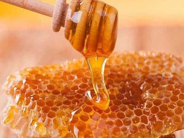 Không phải mật ong, đây mới là thứ được lấy ra từ tổ ong vừa giúp trị bệnh lại làm đẹp vô cùng hiệu quả mà nhiều người không hay biết