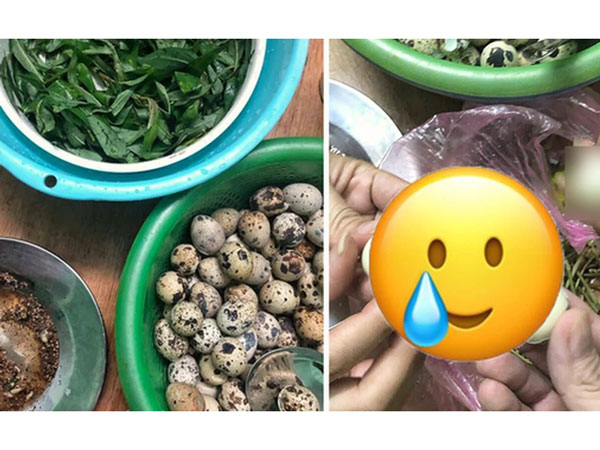 Đặt mua 50 trứng cút lộn nhưng khi bóc vỏ thì tá hoả với bên trong, nhắn hỏi shop thì nhận được câu trả lời trớt quớt