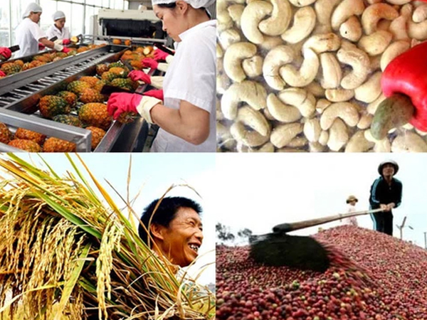 Lĩnh vực vượt công nghiệp và dịch vụ, trở thành 'bệ đỡ' cho kinh tế Việt Nam trong đại dịch