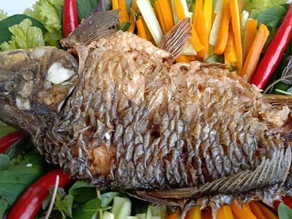 Bộ phận này của cá bị nhiều người vứt đi nhưng không ngờ lại có công dụng chữa bệnh cực tốt