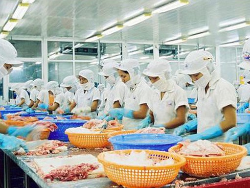 368 ca nhiễm Covid-19 liên quan đến công ty trong 4 ngày, Giám đốc: 'Đang điều tra nguồn lây'