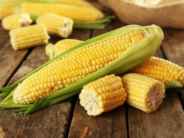 Tác hại nguy hiểm khi ăn quá nhiều ngô và những người không nên ăn ngô