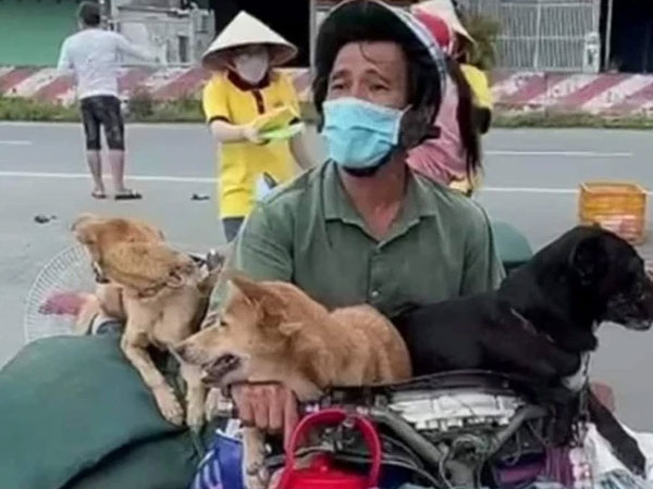Chính quyền lên tiếng vụ tiêu hủy 15 con chó theo chủ về quê: 'Chủ chó tự bắt bỏ vô bao, đồng ý tiêu hủy trên tinh thần tự nguyện'